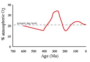 oxygen levels